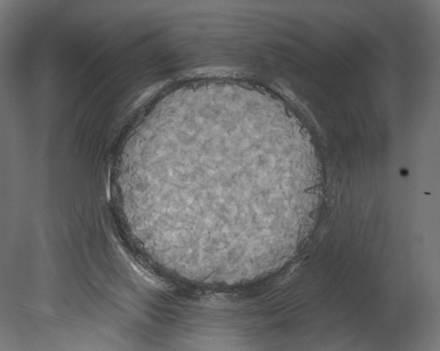 X0000080700062200701121802