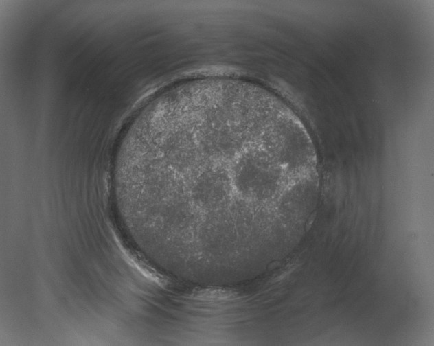 X0000080700063200701121802