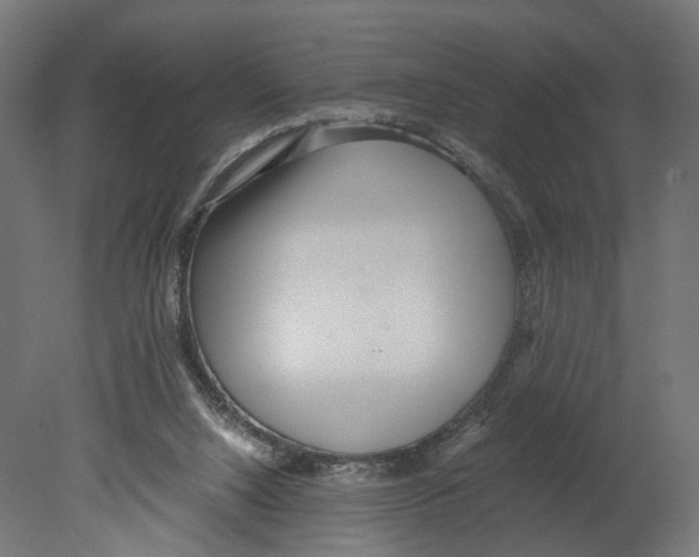 X0000080700064200701121802