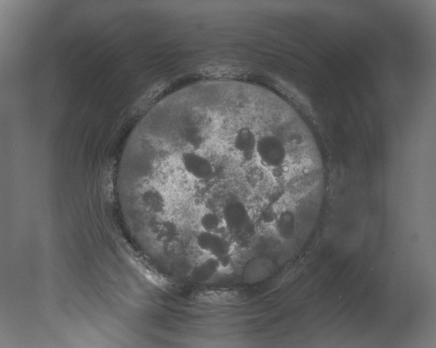 X0000080700065200701121802