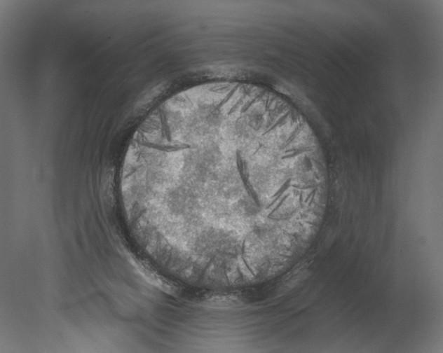 X0000080700066200701121802