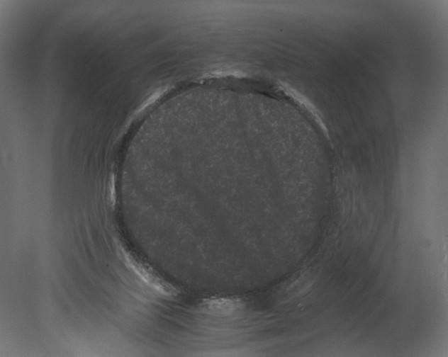 X0000080700067200701121802