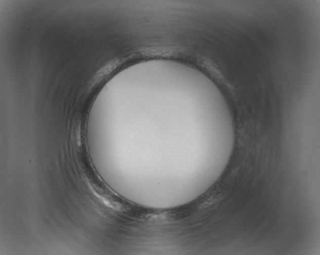 X0000080700068200701121802