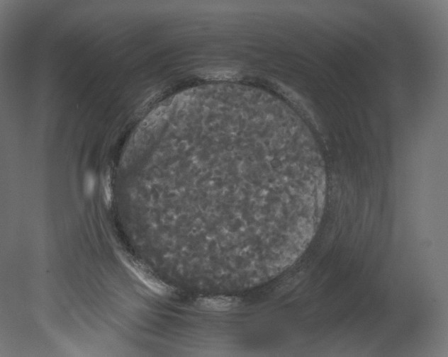 X0000080700069200701121802