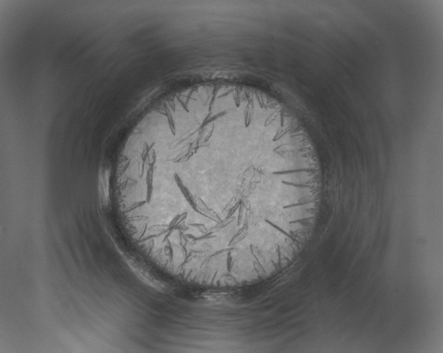 X0000080700070200701121802