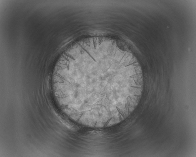 X0000080700071200701121802