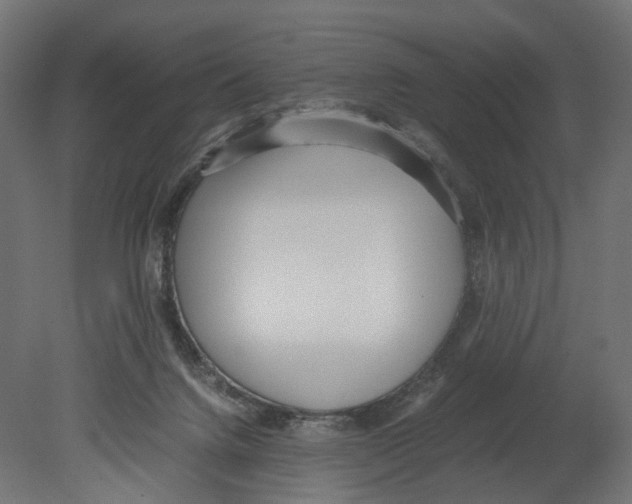 X0000080700072200701121802