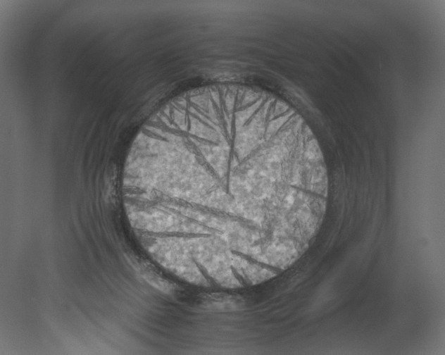 X0000080700073200701121802