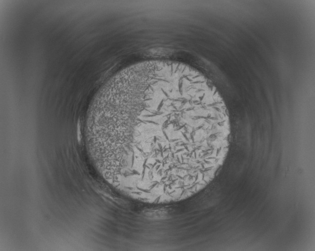 X0000080700075200701121802