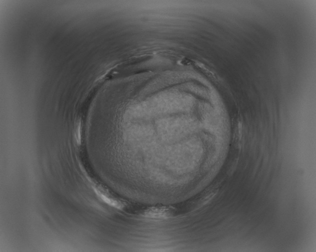 X0000080700076200701121802