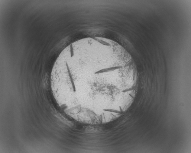 X0000080700077200701121802