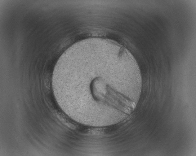 X0000080700078200701121802