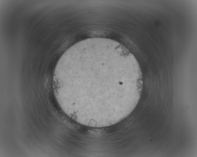 X0000080700079200701121802