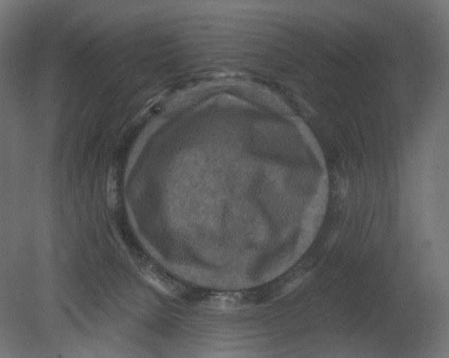 X0000080700080200701121802