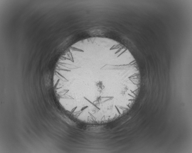 X0000080700081200701121802