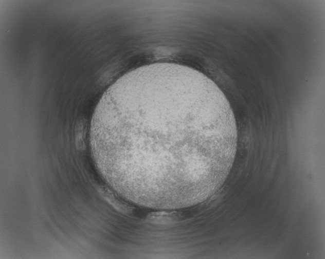 X0000080700082200701121802