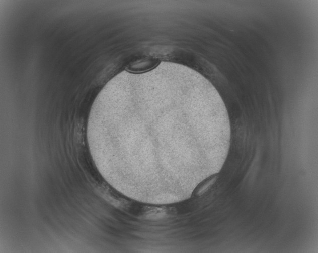 X0000080700083200701121802