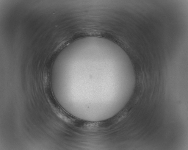 X0000080700084200701121802