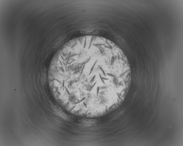 X0000080700085200701121802