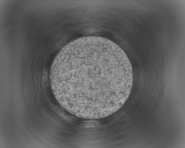 X0000080700087200701121802