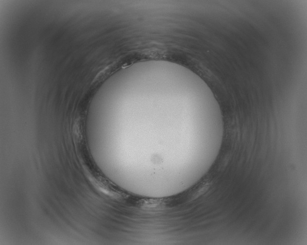 X0000080700088200701121802