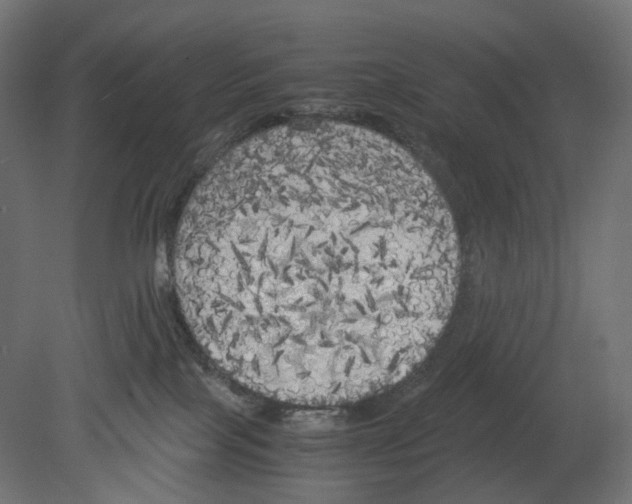 X0000080700089200701121802