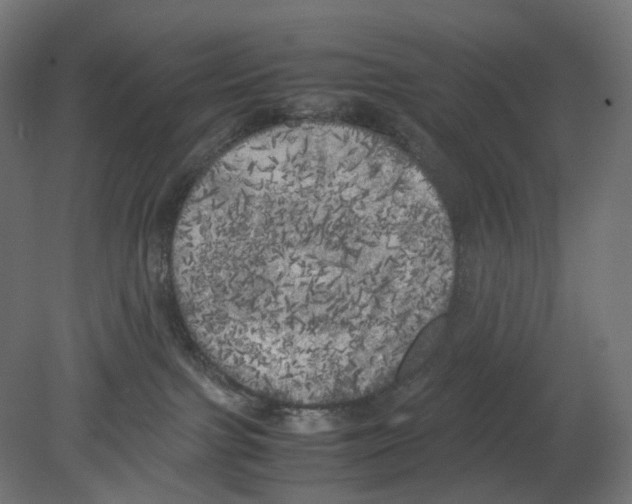 X0000080700091200701121802