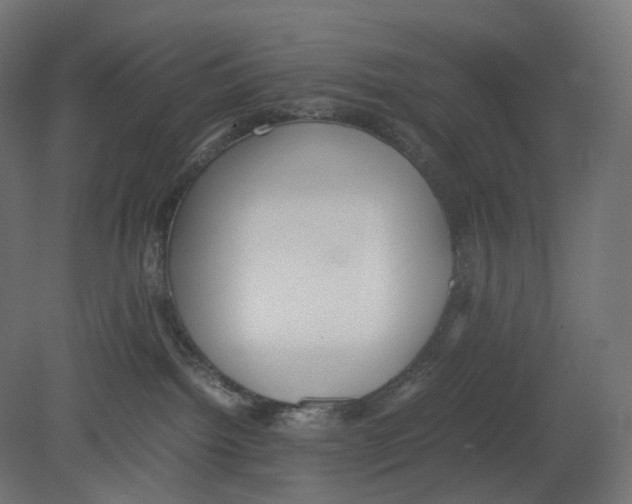 X0000080700092200701121802