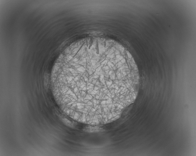 X0000080700093200701121802