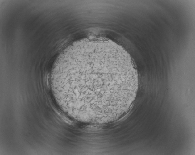 X0000080700094200701121802