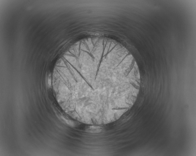 X0000080700095200701121802