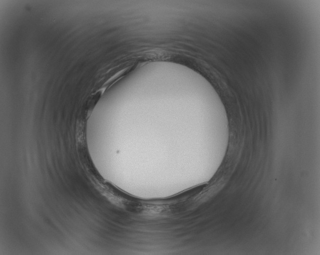 X0000080700096200701121803