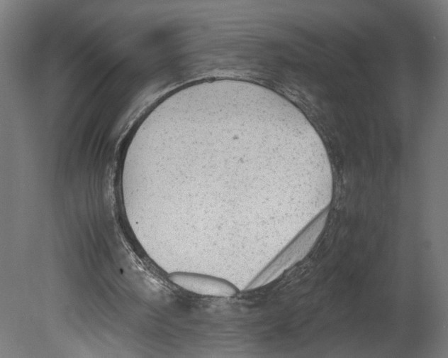 X0000080700098200701121802