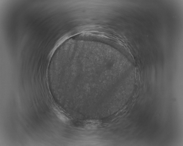 X0000080700099200701121802