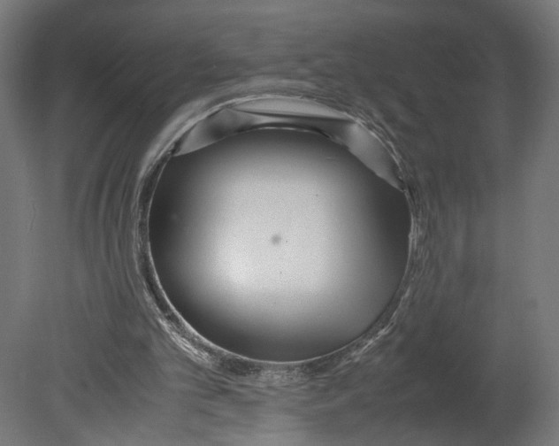 X0000080700101200701121802