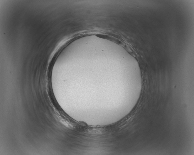 X0000080700102200701121802