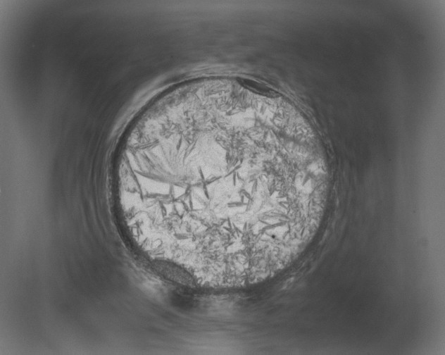 X0000080700103200701121802