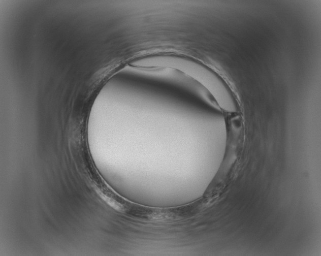 X0000080700105200701121802