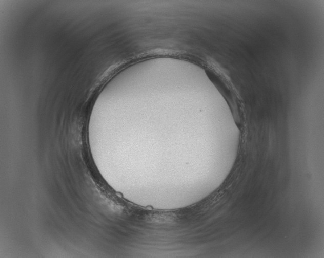 X0000080700106200701121802