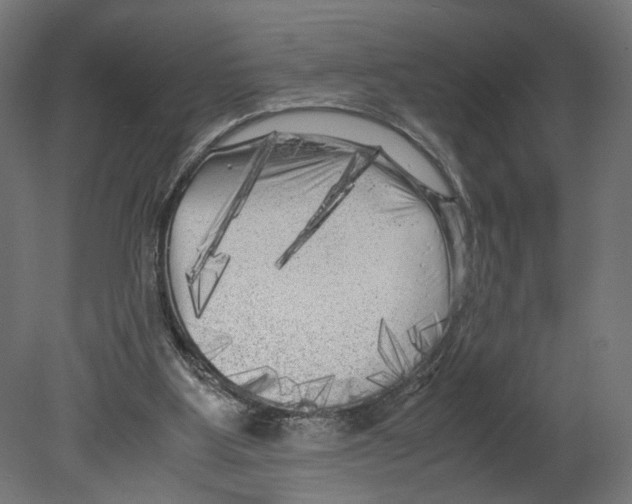 X0000080700107200701121802