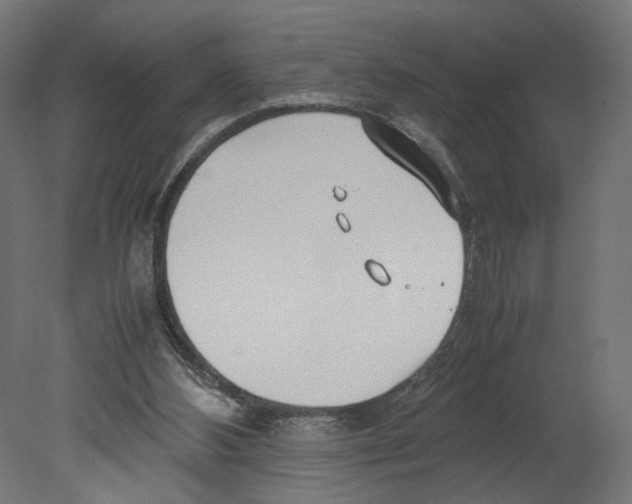 X0000080700108200701121802