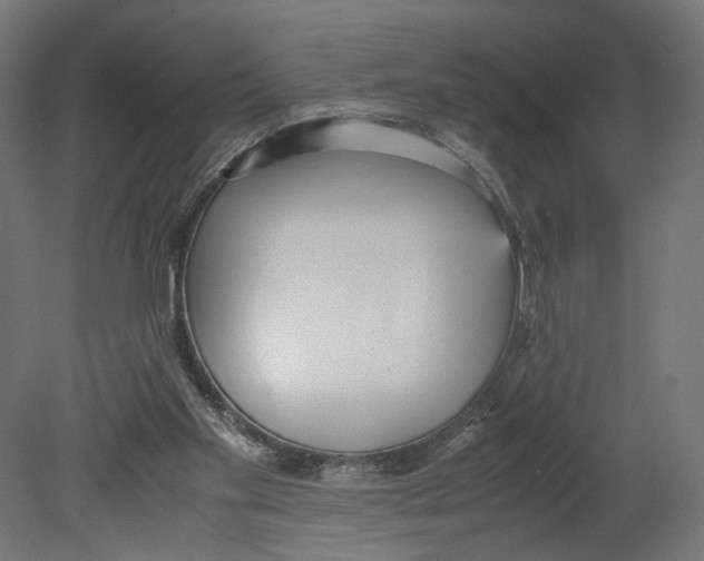 X0000080700109200701121801