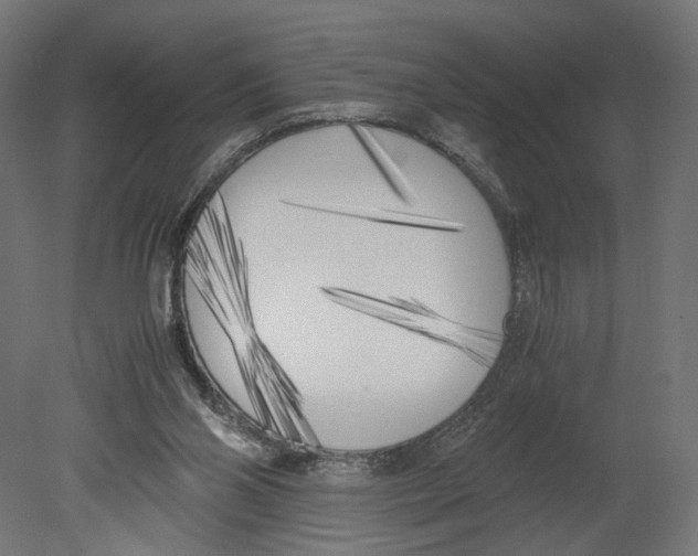 X0000080700110200701121801