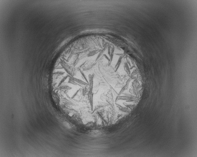 X0000080700111200701121801