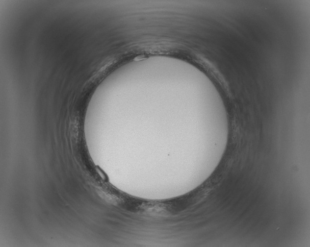 X0000080700113200701121801