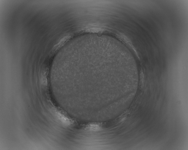 X0000080700114200701121801