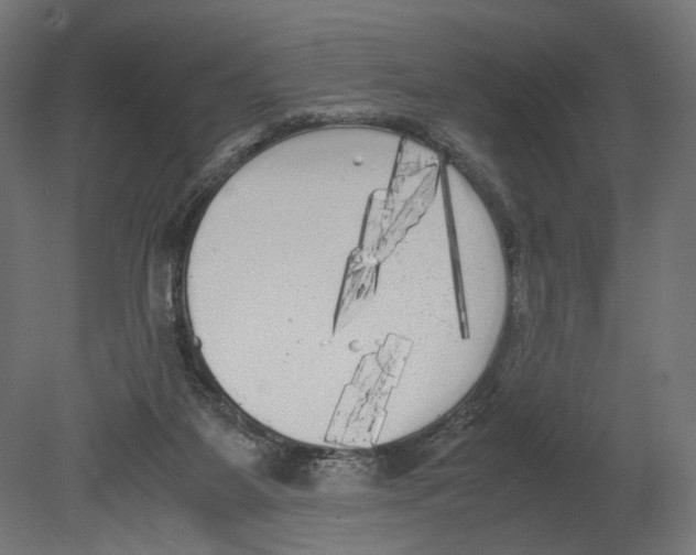 X0000080700115200701121801