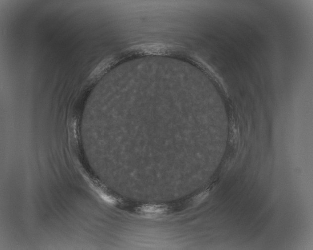 X0000080700117200701121801