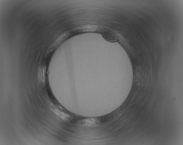 X0000080700118200701121801