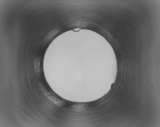 X0000080700120200701121801